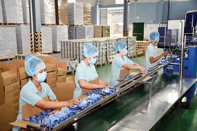 Miễn thuế TNDN 3 năm đầu: Hỗ trợ doanh nghiệp vượt “cửa tử”