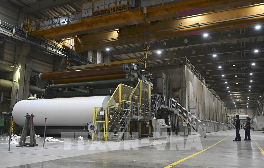 doanh-nghiep-phap-pha-san-co-the-cao-ky-luc-trong-nam-2025