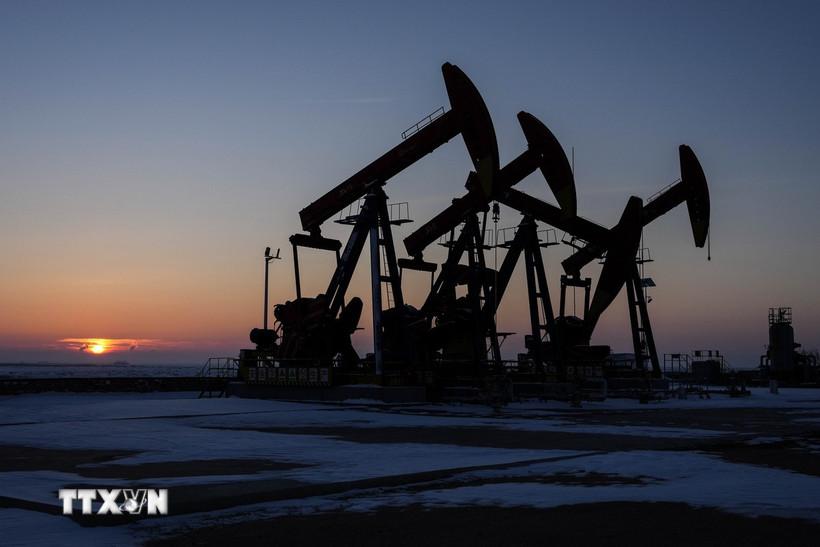 gia-dau-tien-sat-muc-cao-nhat-trong-sau-thang