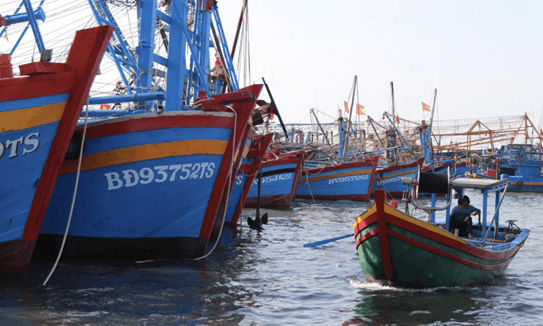 ec-lui-thoi-gian-thanh-tra-the-vang-iuu-den-cuoi-nam