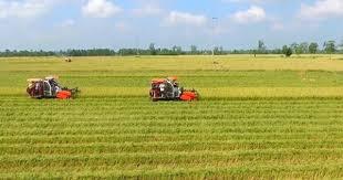 thu-hoi-dat-nong-nghiep-truong-hop-nao-duoc-ho-tro-bang-tien