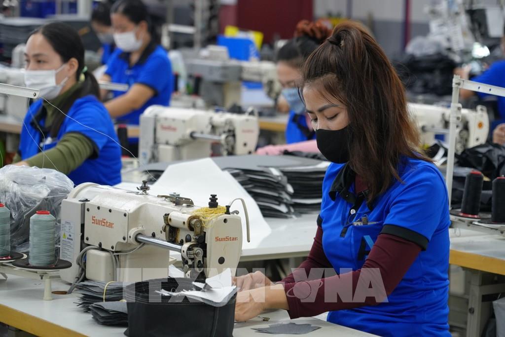 Nhiều doanh nghiệp Bà Rịa-Vũng Tàu có nhu cầu lớn về lao động