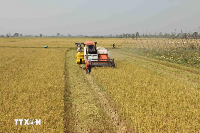 duc-tim-kiem-co-hoi-moi-trong-nganh-nong-nghiep-viet-nam