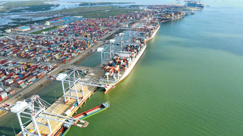 ong-lon-hang-hai-dat-muc-tieu-tang-truong-but-pha-doanh-thu-loi-nhuan