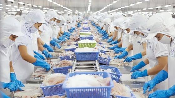 Qua 'cánh cửa an toàn', thủy sản Việt tăng xuất khẩu gấp đôi vào thị trường khó tính