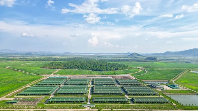 Thaco Agri xin loạt cơ chế đặc thù; Vosco đi bán than; Vingroup xây bến cảng quốc tế