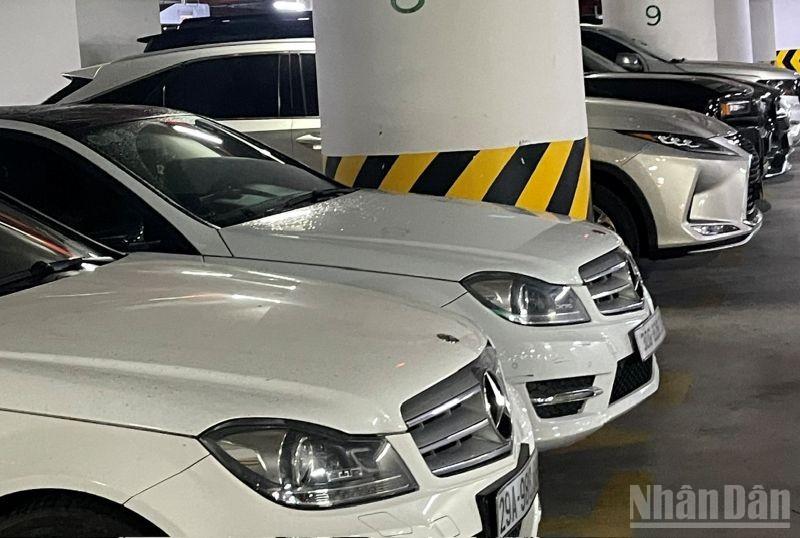 sua-doi-bo-sung-quy-dinh-ve-dau-gia-han-ngach-thue-quan-nhap-khau-o-to-da-qua-su-dung