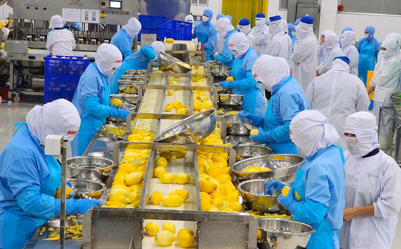 fta-index-he-lo-diem-nghen-trong-thuc-thi-fta-cua-cac-tinh-thanh