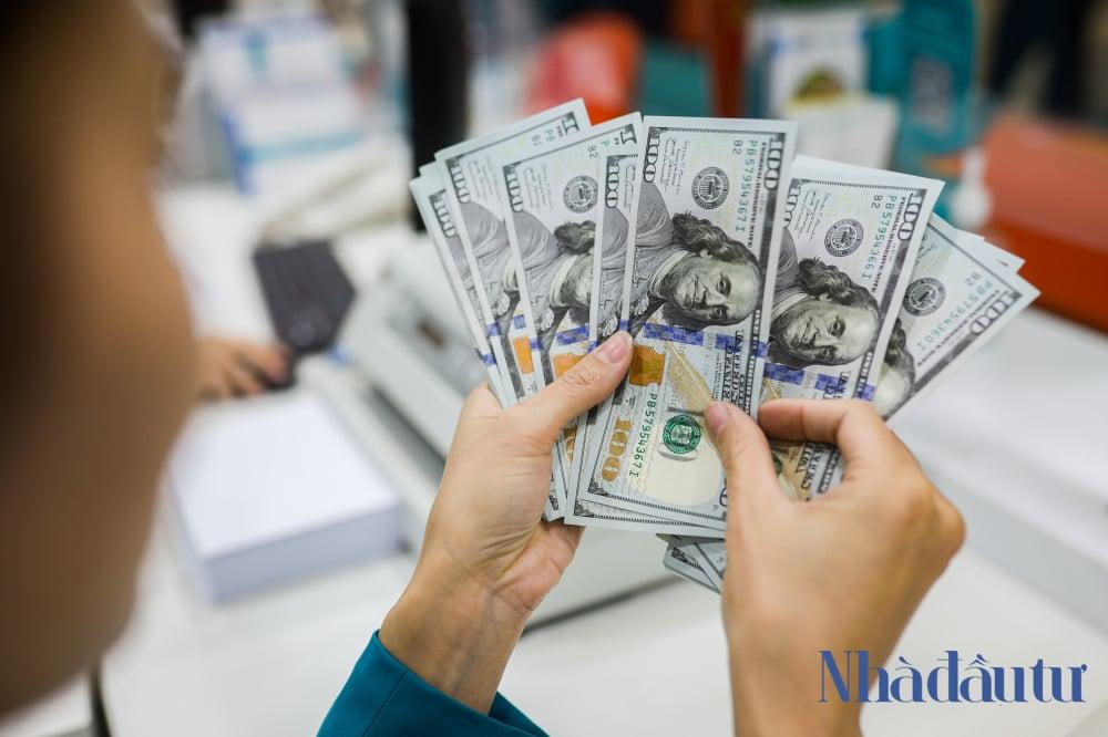 Biến động tỷ giá và dự báo