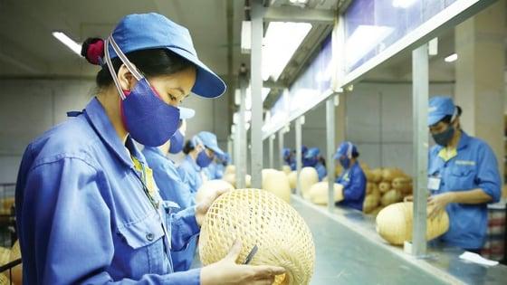 go-kho-sme-can-he-thong-xep-hang-tin-nhiem-va-chinh-sach-thue-dac-thu