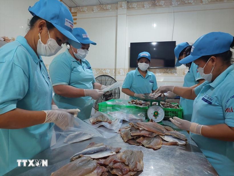 Nhiều dư địa hợp tác thương mại song phương giữa Việt Nam và Kuwait