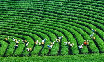 Góp ý Dự thảo Văn kiện Đại hội XIV: Đổi mới mô hình tăng trưởng, phát triển kinh tế xanh