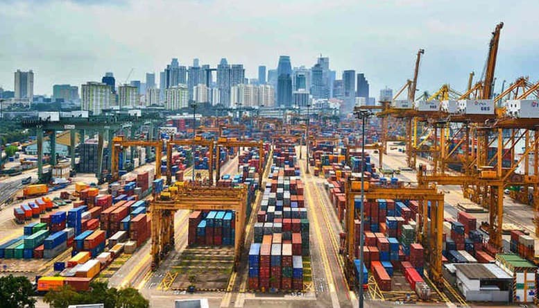 kim-ngach-xuat-nhap-khau-viet-nam-singapore-tang-ky-luc