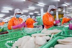 tuyen-bo-chung-viet-nam-va-hoa-ky-cung-co-vi-the-trong-chuoi-cung-ung-toan-cau