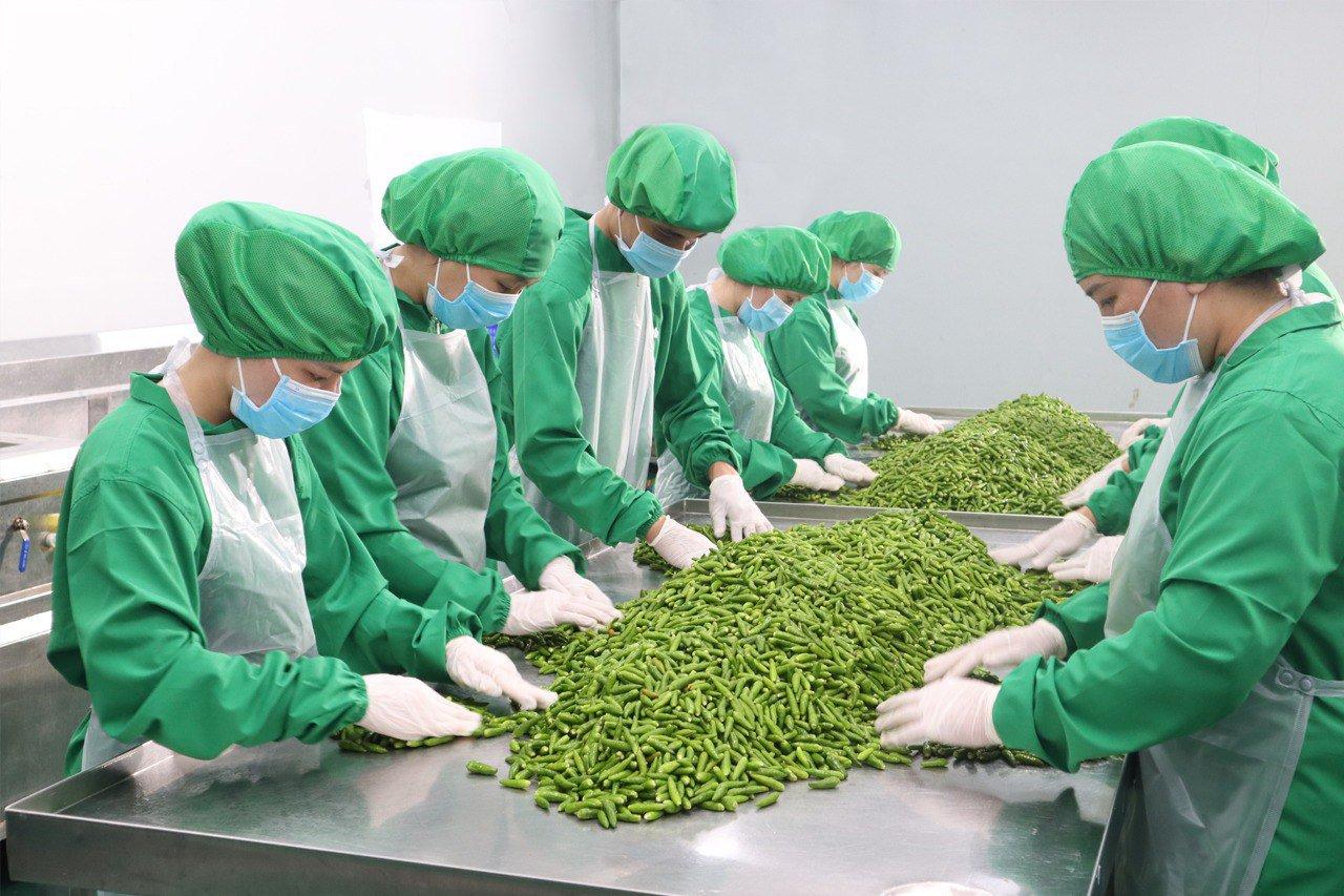 tu-bo-nhom-zalo-va-bang-excel-dn-tim-thay-bo-nao-moi-de-dieu-hanh