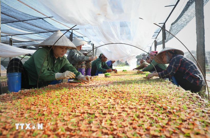 nghi-quyet-68-nqtw-dong-luc-de-viet-nam-but-pha-toi-nguong-thu-nhap-cao