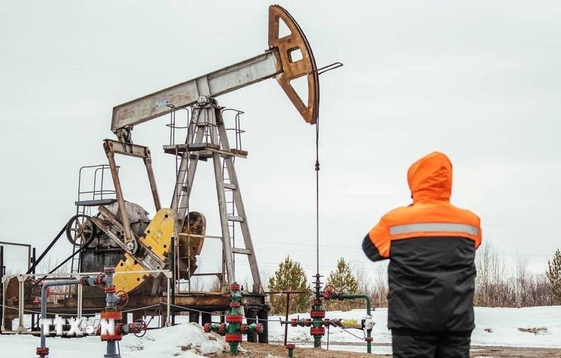 OPEC+ nhất trí tạm dừng tăng sản lượng trong quý 1 năm 2026