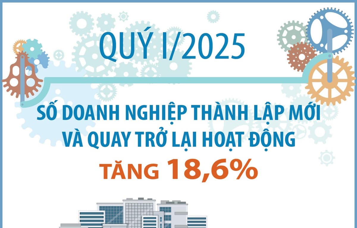 quy-i2025-so-doanh-nghiep-thanh-lap-moi-va-quay-tro-lai-hoat-dong-tang-186