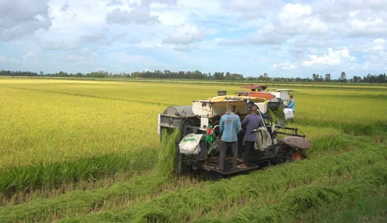 xuat-khau-nong-lam-thuy-san-quy-i-dat-gan-167-ty-usd