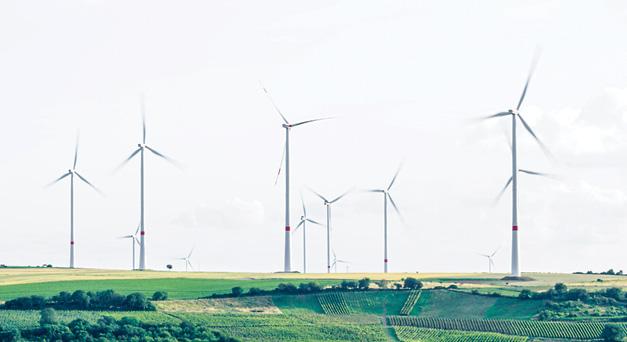 Tăng trưởng xanh tại Việt Nam: Còn khoảng trống lớn giữa chính sách và thực thi