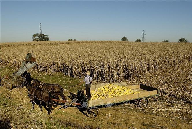 my-chi-700-trieu-usd-de-trien-khai-canh-tac-tai-sinh