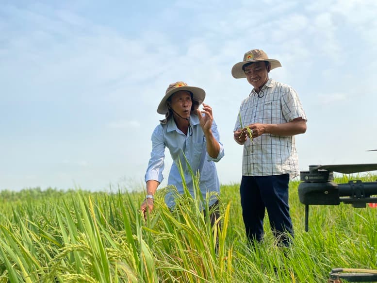 bo-nong-nghiep-va-moi-truong-xay-dung-kich-ban-san-xuat-truoc-tinh-hinh-xung-dot-trung-dong