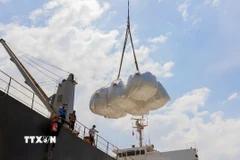 Hiệp hội Lương thực Việt Nam: Xuất khẩu gạo đạt hơn 7 triệu tấn