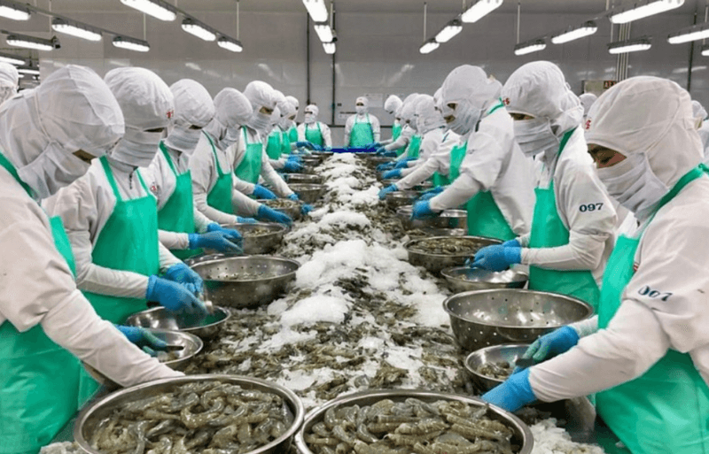 Thủy sản Việt Nam thâm nhập vào thị trường Israel