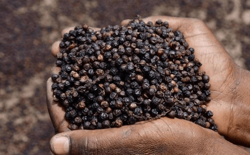 Xuất khẩu nông sản cần chủ động trong 'luật chơi' MRL