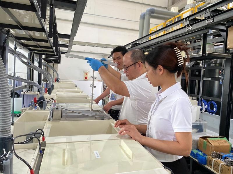 tan-dung-lan-song-lon-de-doanh-nghiep-vuon-xa-chuoi-gia-tri-toan-cau