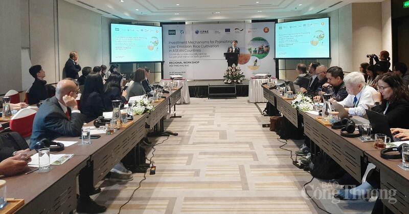 Gạo phát thải thấp mở dư địa mới cho thương hiệu gạo Việt