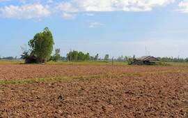 cach-xac-dinh-thoi-diem-su-dung-dat