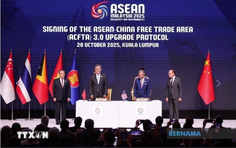 acfta-30-tao-co-so-quan-trong-thuc-day-hop-tac-kinh-te-asean-trung-quoc