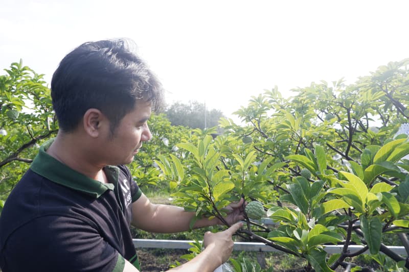 tay-ninh-tu-san-xuat-xanh-den-mo-rong-thi-truong-nong-san