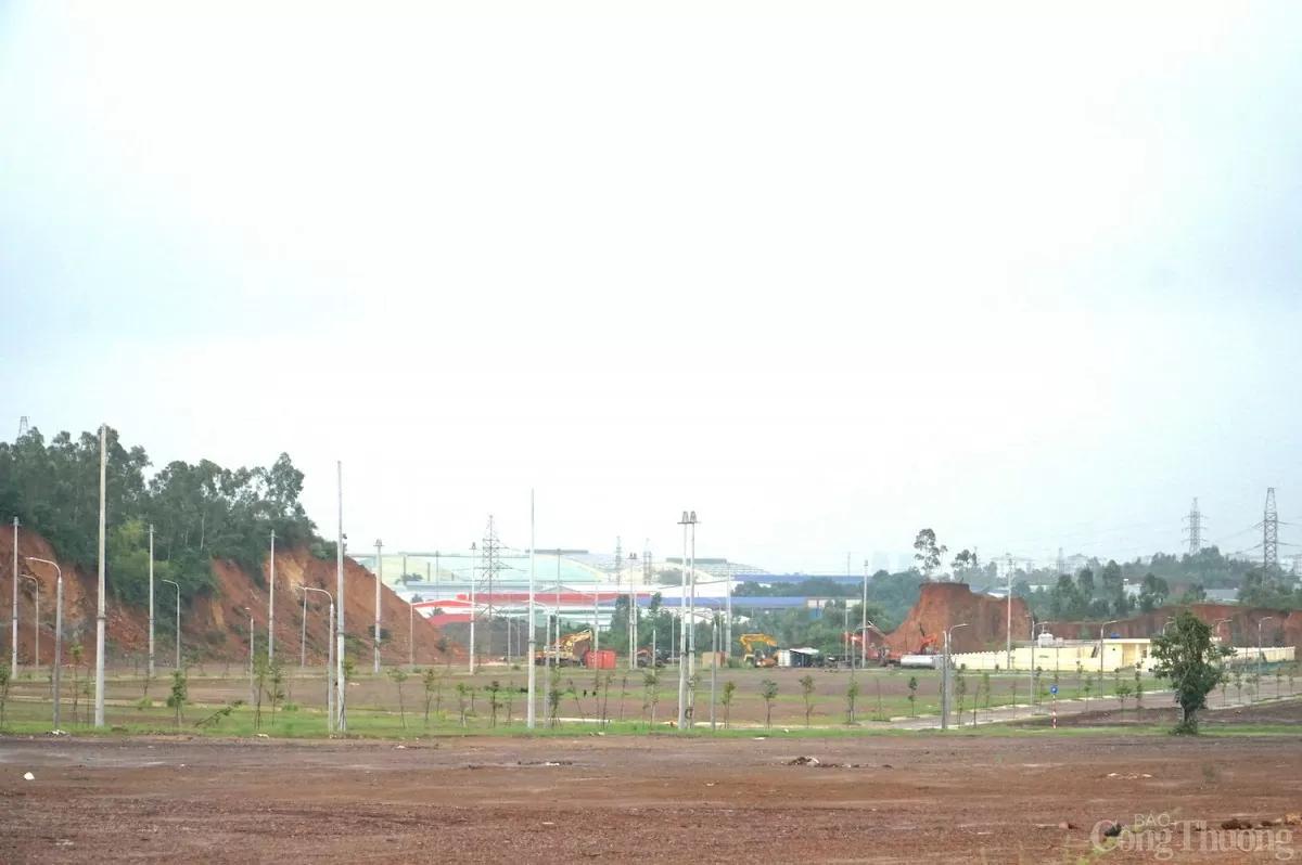 da-nang-cong-bo-51-doanh-nghiep-du-dieu-kien-dau-tu-san-xuat-trong-cum-cong-nghiep-cam-le