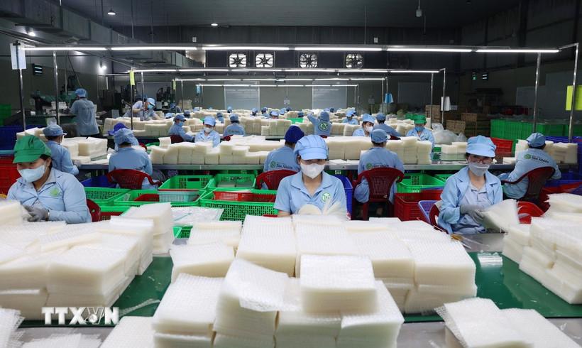 Nghị quyết 68 về kinh tế tư nhân: Cơ hội vàng cho doanh nghiệp Tây Ninh bứt phá