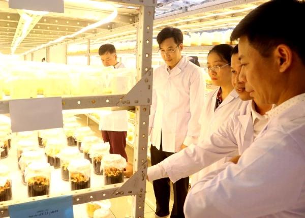 doanh-nghiep-can-day-manh-ung-dung-khoa-hoc-cong-nghe-tang-suc-canh-tranh