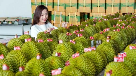 fta-index-chi-ro-nhung-khoang-trong-va-du-dia-de-tan-dung-co-hoi-hoi-nhap